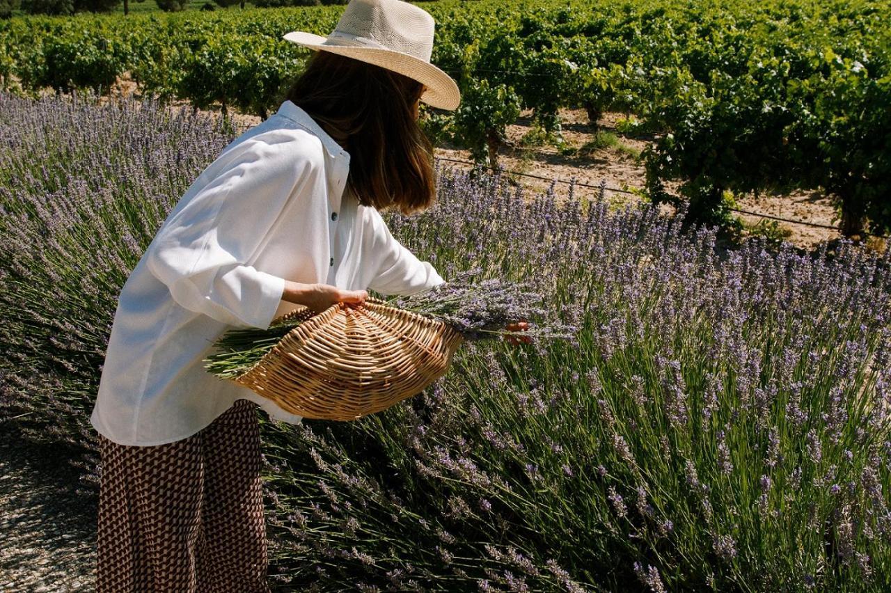 Abadia Retuerta Ledomaine Ξενοδοχείο Sardon De Duero Εξωτερικό φωτογραφία